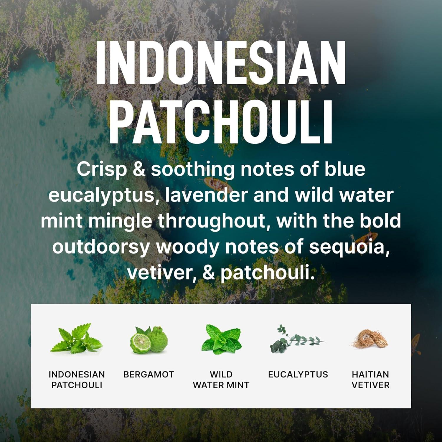 image:imageLaundry Sauce Luxury Scented Laundry Detergent Pods amp Scent Booster Bundle French Saffron Natural Essential Oils EasyToUse Laundry Pods CrueltyFree ParabenFree DyeFree amp HE CompatibleIndonesian Patchouli