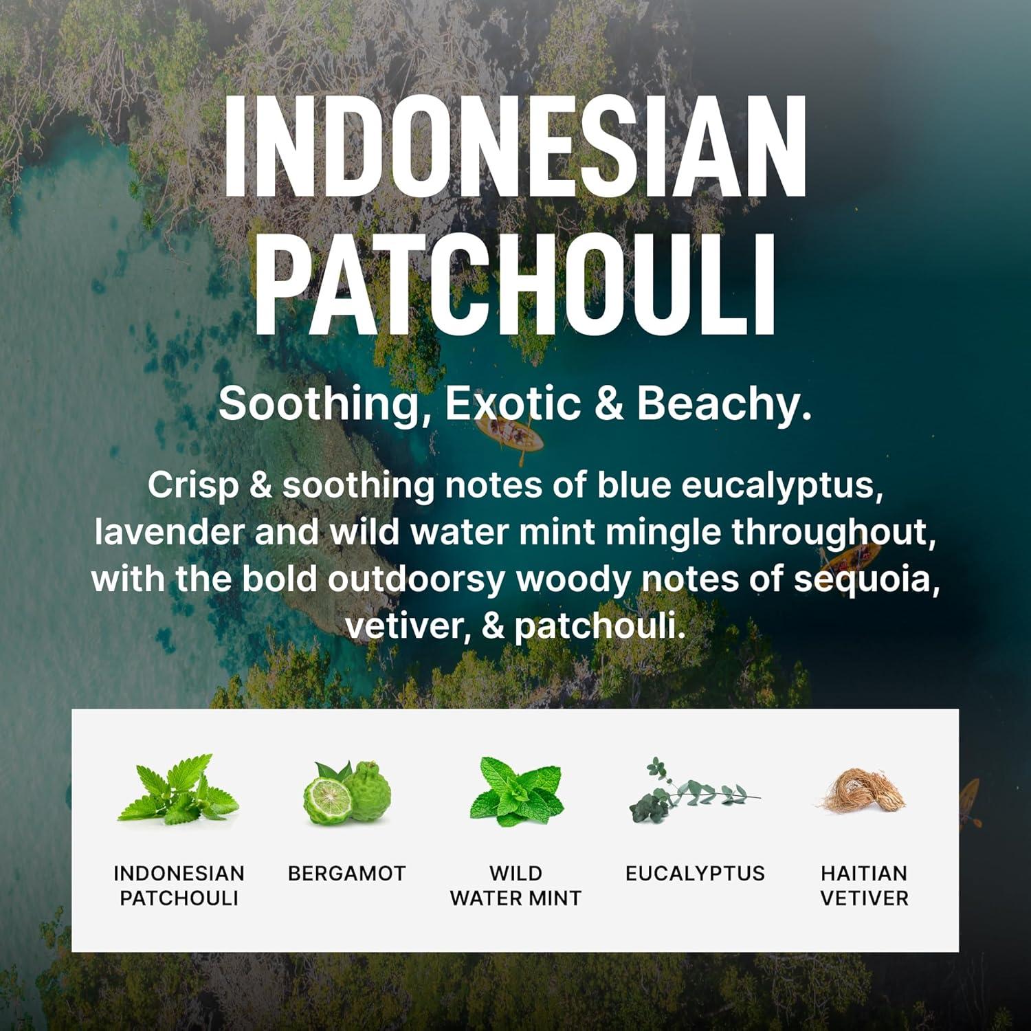 image:imageLaundry Sauce Fabric Refresher Spray Australian Sandalwood OdorFighting Fabric Refresher Fragrance and Laundry Scent 98 fl ozIndonesian Patchouli